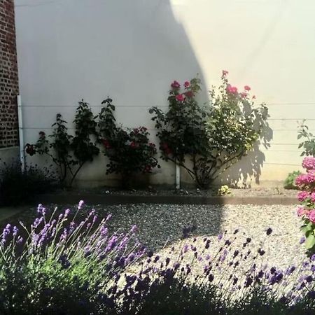 Appartement Calme A 300 M De La Plage-Centre Ville - Quiet Appartment 300 M Near City And Beach แม-เล-แบ็ง ภายนอก รูปภาพ